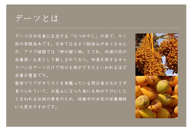 デーツとは「なつめやし」の実でヤシ科の常緑高木。アラブ諸国では「神の贈り物」とされ砂漠で何日もデーツだけで他bができたと言われている。また聖母マリアも妊娠中と出産後も口にしたと言われ妊婦の栄養補給にオススメ