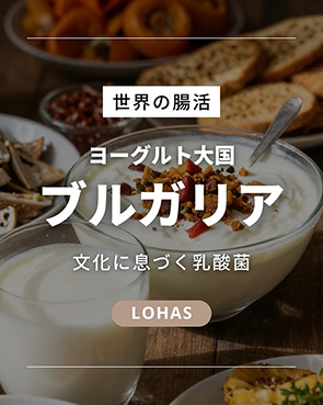 �C���X�^���e�E���[�O���g�卑�u���K���A