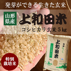 特別栽培米コシヒカリ玄米5kg