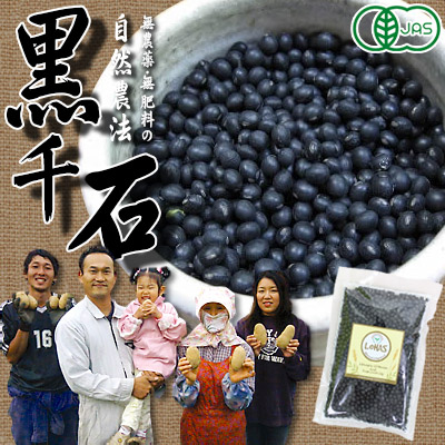 【自然農法・有機JAS認証】北海道十勝産黒大豆 黒千石 250g