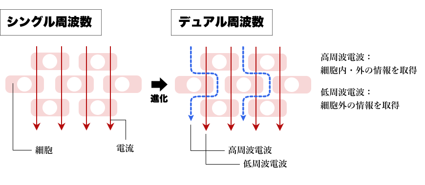 タニタ 体組成計