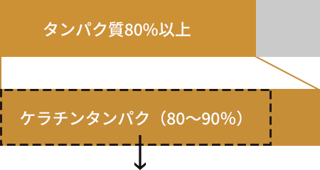 髪の約80%はタンパク質