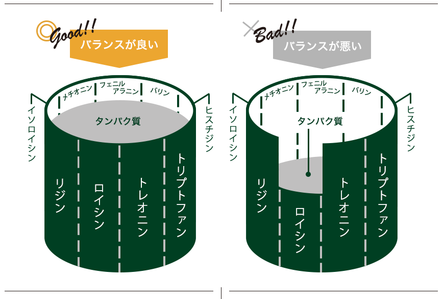 必須アミノ酸のバランスが大事