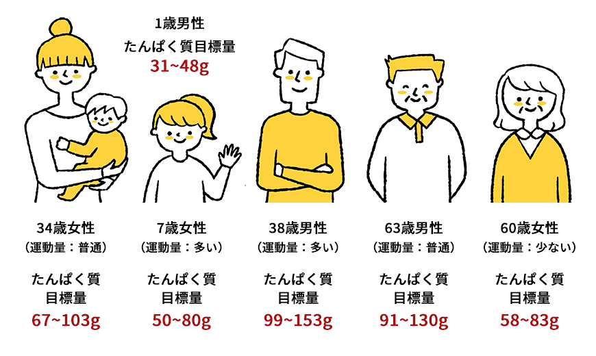 1日のタンパク質摂取量