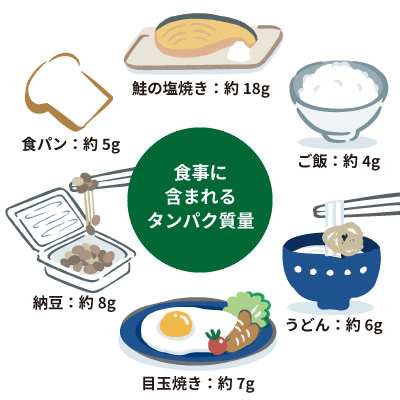 食事に含まれているタンパク質量