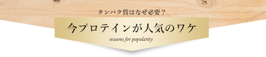 プロテインが人気の理由