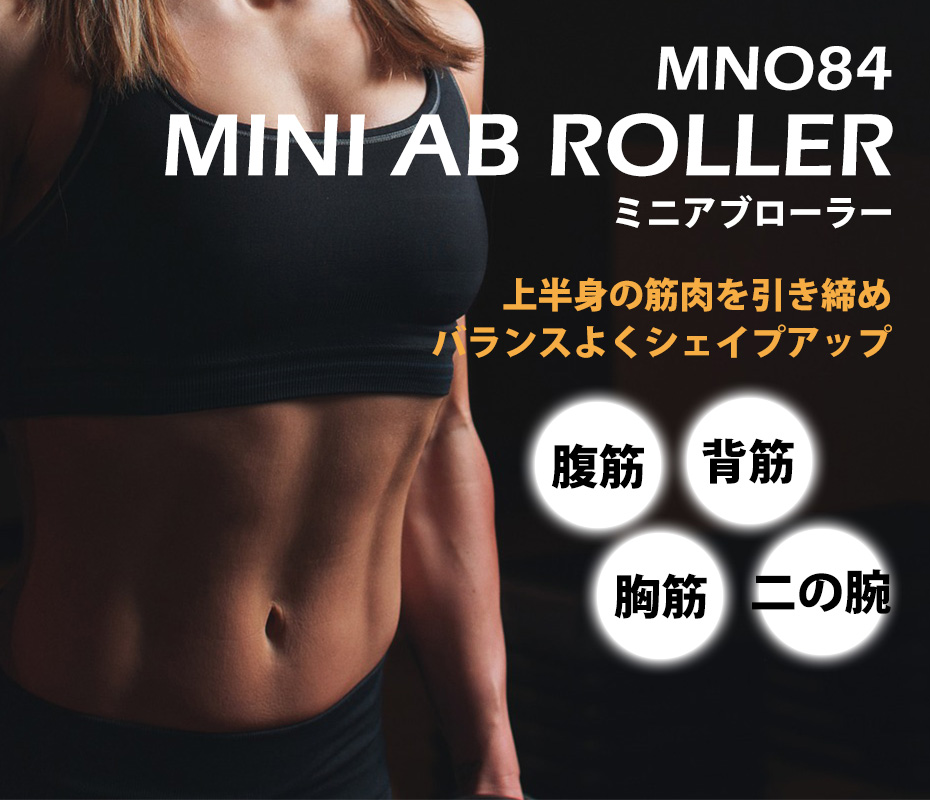 ミニアブローラー