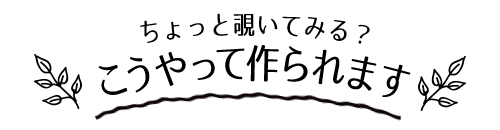 カカオが作られるまで