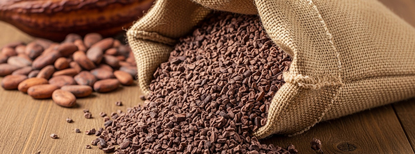 カカオの豊富な栄養素