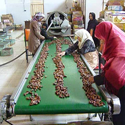 ���E�I��