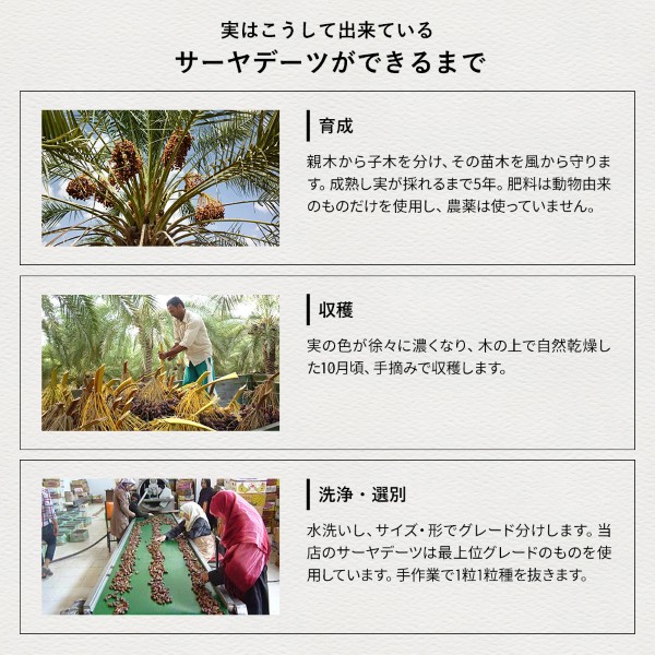 �f�[�c���ł���܂�