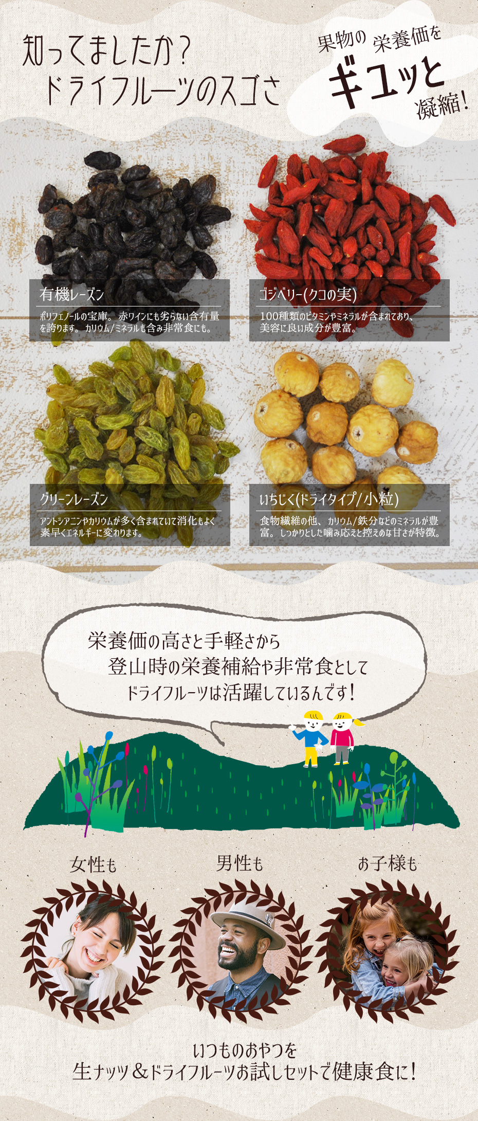 レーズン、グリーンレーズン、クコの実ゴジベリー、いちじくドライタイプ