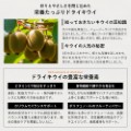 ドライキウイの魅力