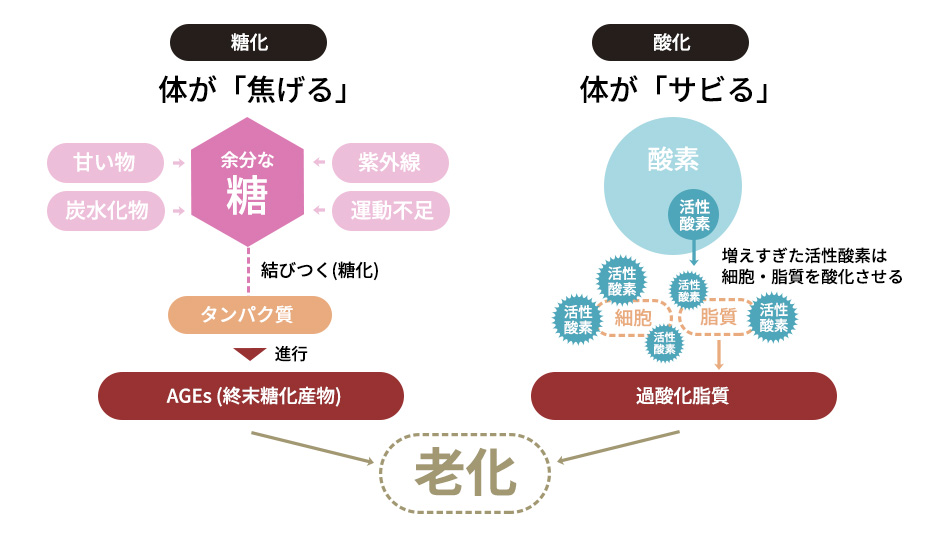 糖化と酸化の違い