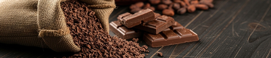 �J�J�I�j�u�Ƃ́H�`���R���[�g�Ƃ̈Ⴂ���킩��₷�����