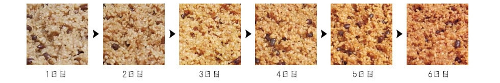 酵素(寝かせ)玄米の変化