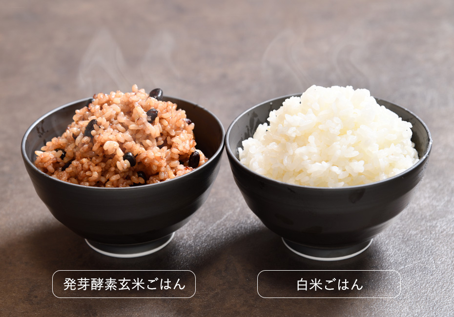 発芽酵素玄米ごはんと白米ごはん