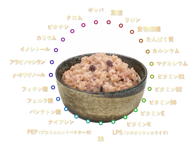 発芽酵素玄米ごはんの25種類の成分