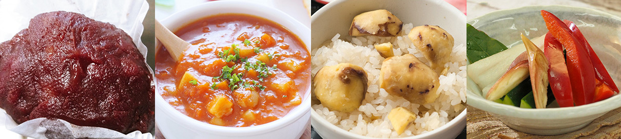 発芽から炊飯までおまかせ!何日も保温可能な発芽酵素玄米炊飯器