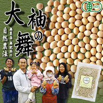 自然農法有機北海道産大豆