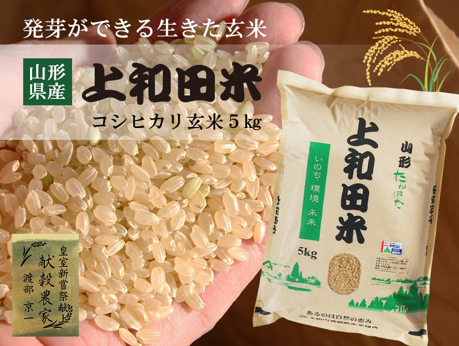 山形県産 特別栽培米減農薬 コシヒカリ玄米