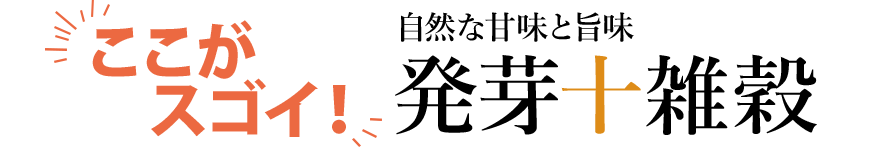XSC