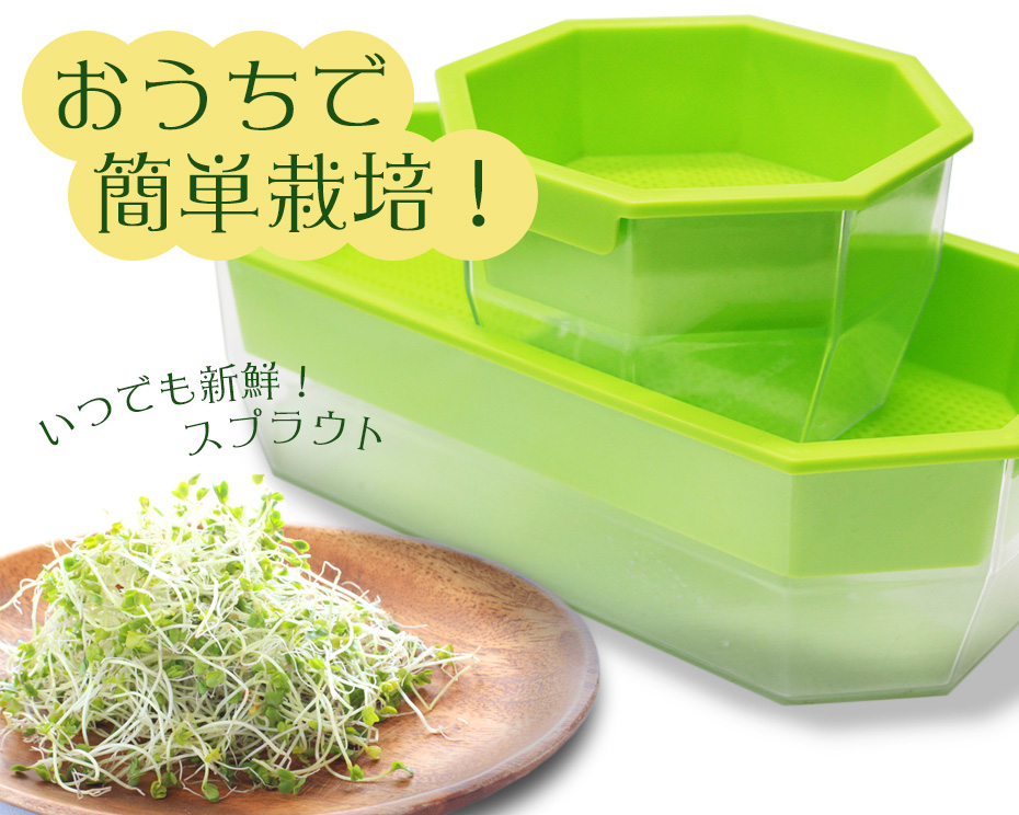 おうちで簡単栽培!いつでも新鮮スプラウト