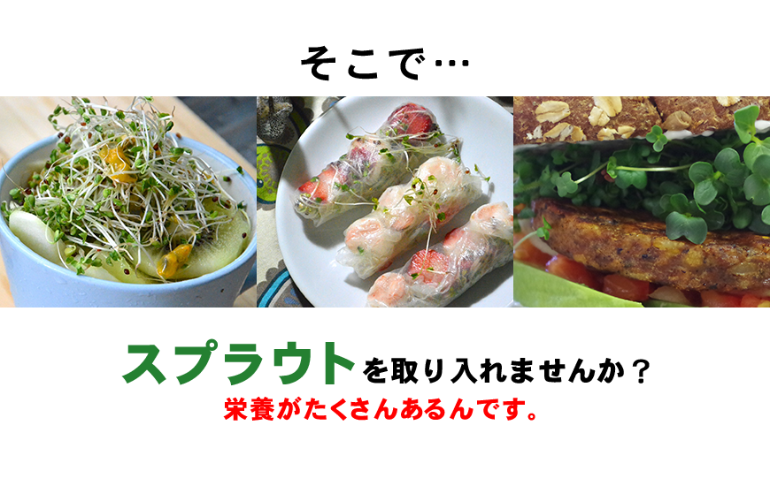 スプラウトを食べませんか?栄養豊富です