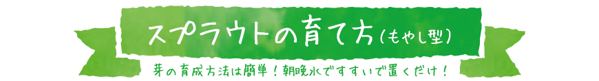 スプラウトの育て方、もやし型