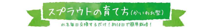 スプラウトの育て方、かいわれ型