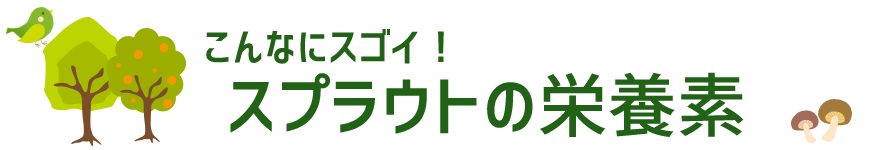 こんなにスゴイ、スプラウトの栄養素