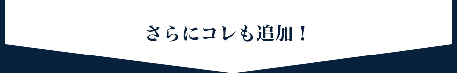 さらに追加