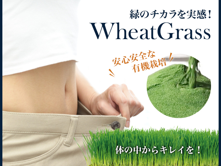 ウィートグラスで体の中からキレイを