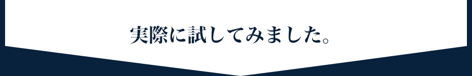 実際に試してみました