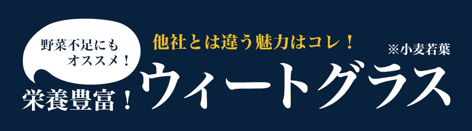 栄養満点ウィートグラス