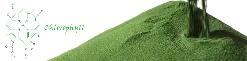 ウィートグラスジュースパウダー