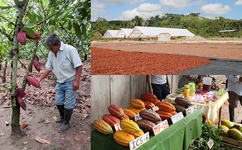 ���[�J�J�I�o�^�[�E���[�J�J�I�p�E�_�[�E���[�J�J�I�j�u