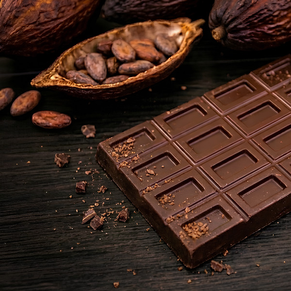 ���[�`���R���[�gVivo�_�[�N���g