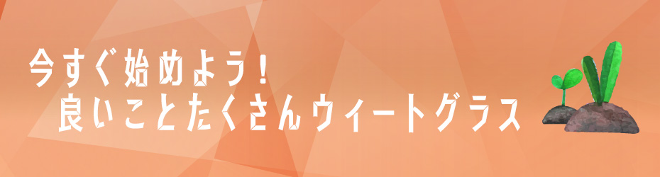 今すぐ始めよう!良いことたくさんウィートグラス